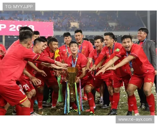 越南队勇夺AFF杯冠军，足球荣耀闪耀东南亚