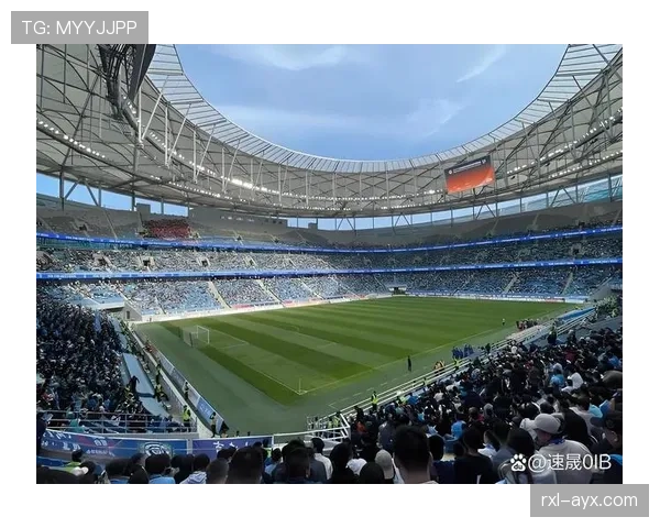 德甲战火重燃，球迷热情点燃新赛季足球文化热潮