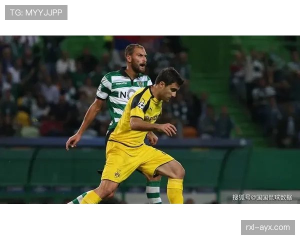 多特蒙德欧冠强势表现引关注，能否再创佳绩成焦点