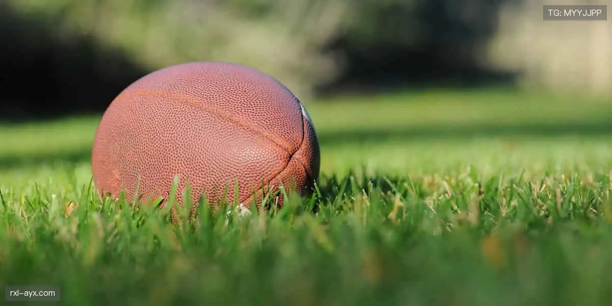 🎙️深度解读，冠军之路！🏆揭秘赛场背后的热血与汗水！